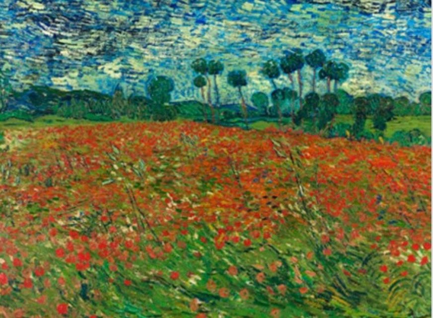 #PoemasDeRebeldía
Crecieron las amapolas 
(Gloria Fuertes)

Me dijeron:
O te subes al carro
o tendrás que empujarlo.
Ni me subí ni lo empujé.
Me senté en la cuneta
y alrededor de mí,
a su debido tiempo,
brotaron las amapolas.

🖼️ Campo de amapolas, Van Gogh