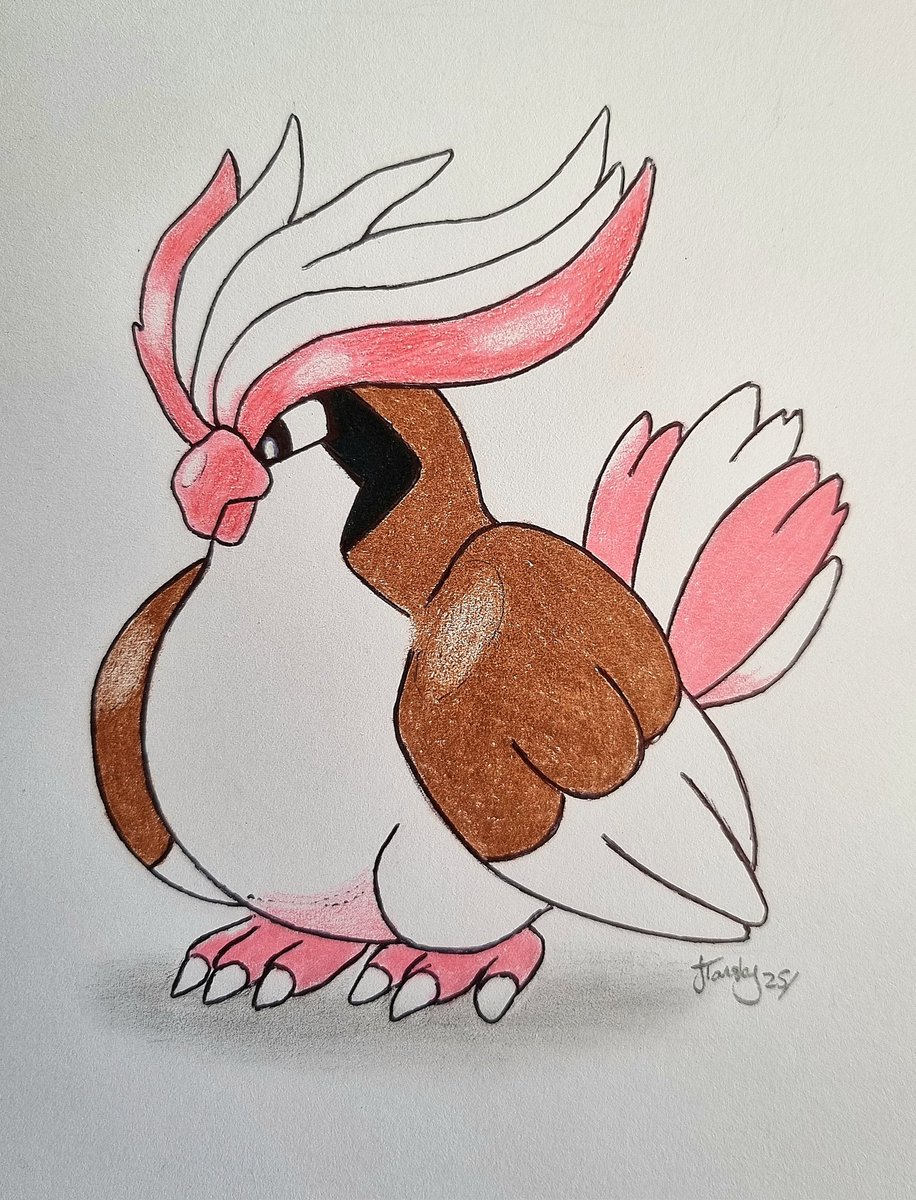 Shining_shadows tweet media