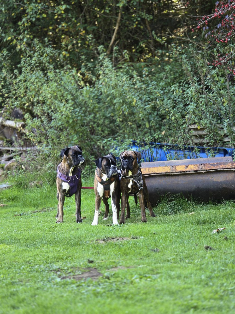 Oh, eine Kamera.... 
Schnell weggucken