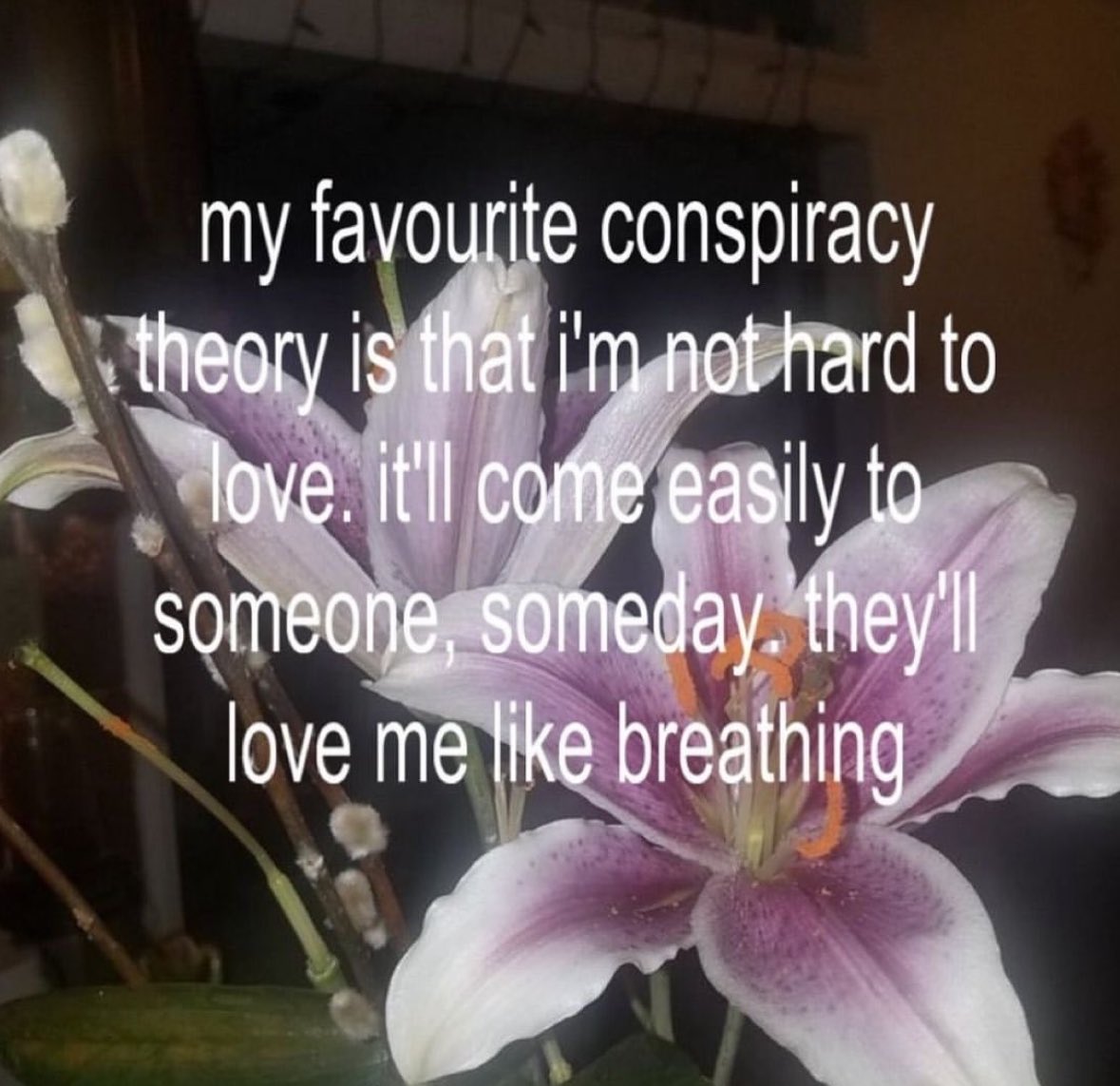 ✧ (@northstardoll) on Twitter photo 