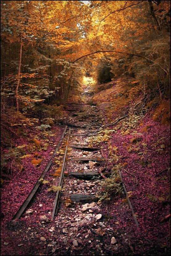 abandonedspaces's tweet image. End of the line…