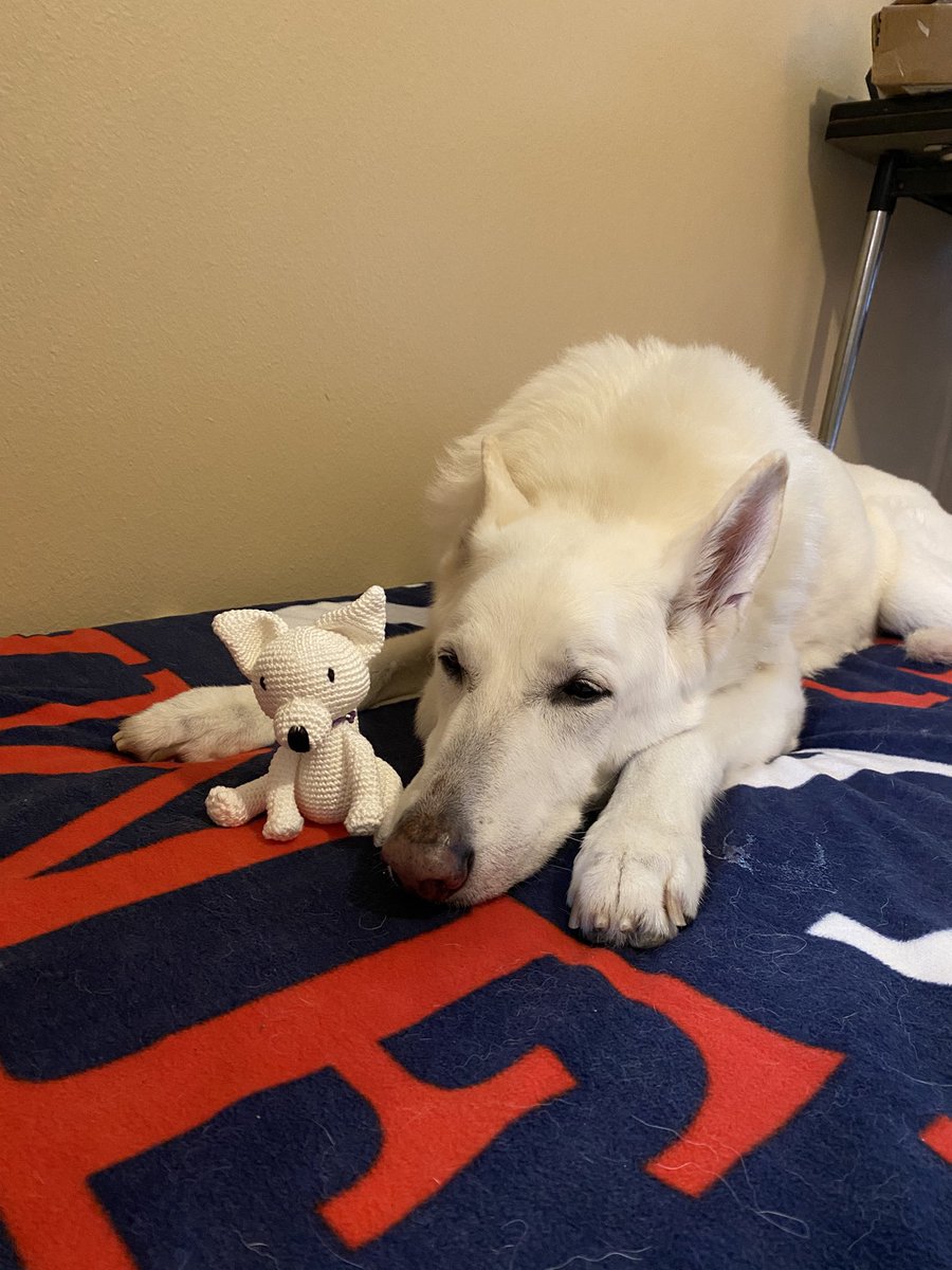 Today me miss me friend Avi he was a sweet pal me will never Forget him