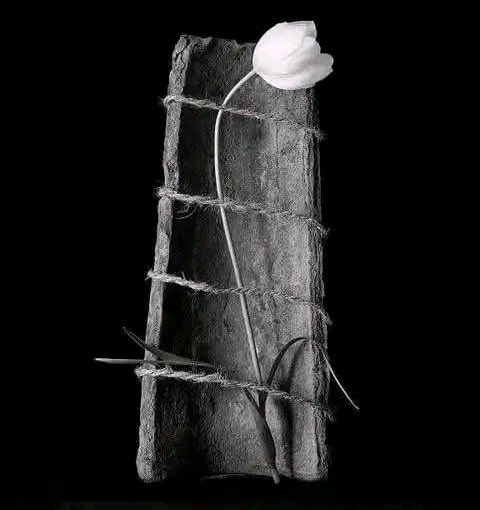 إنَّ للشدّةِ مُدّة
ثُمّ يلقى المرءُ سَعْدَه ..