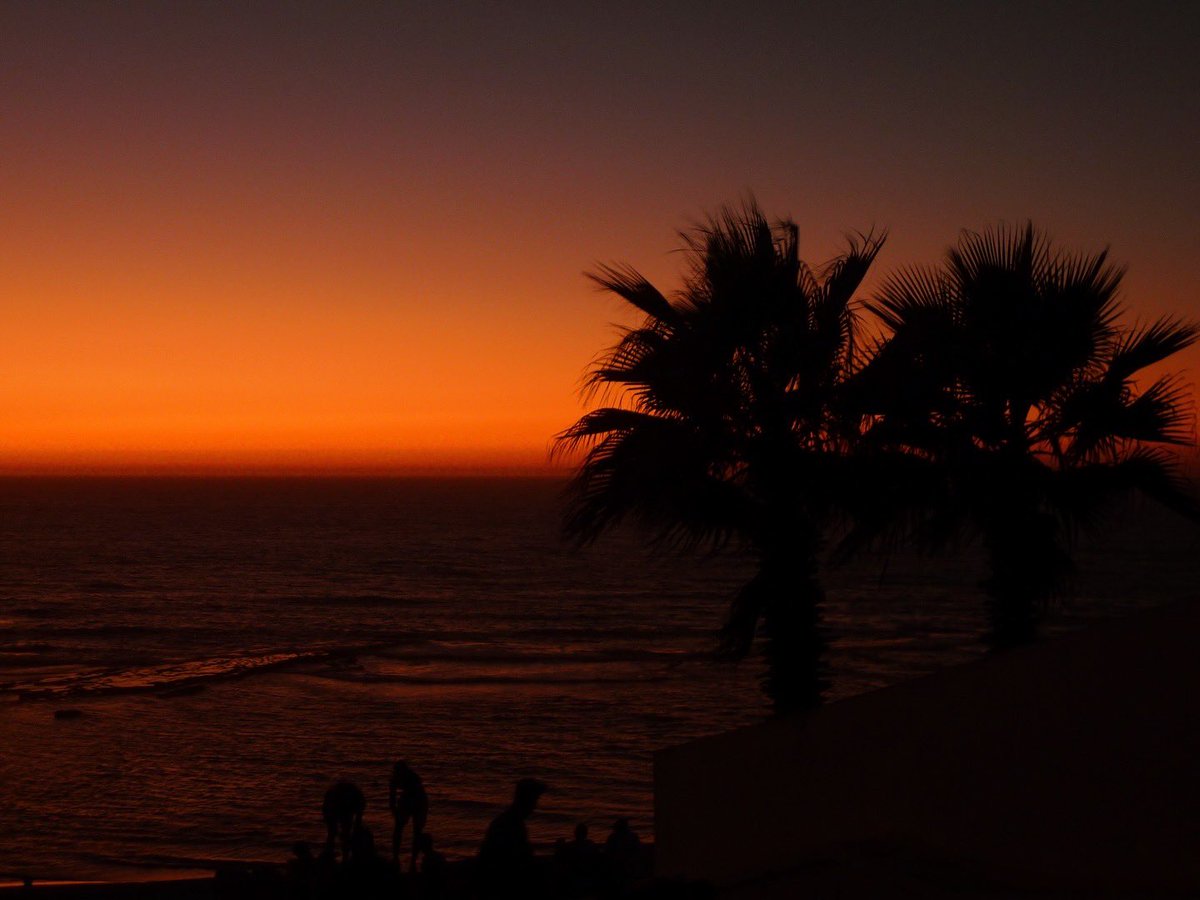 mydigitcamera tweet media