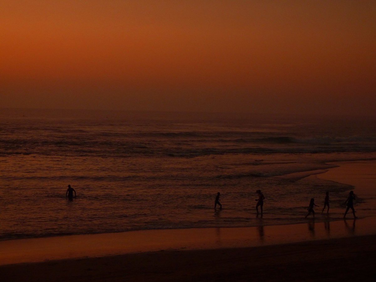 mydigitcamera tweet media