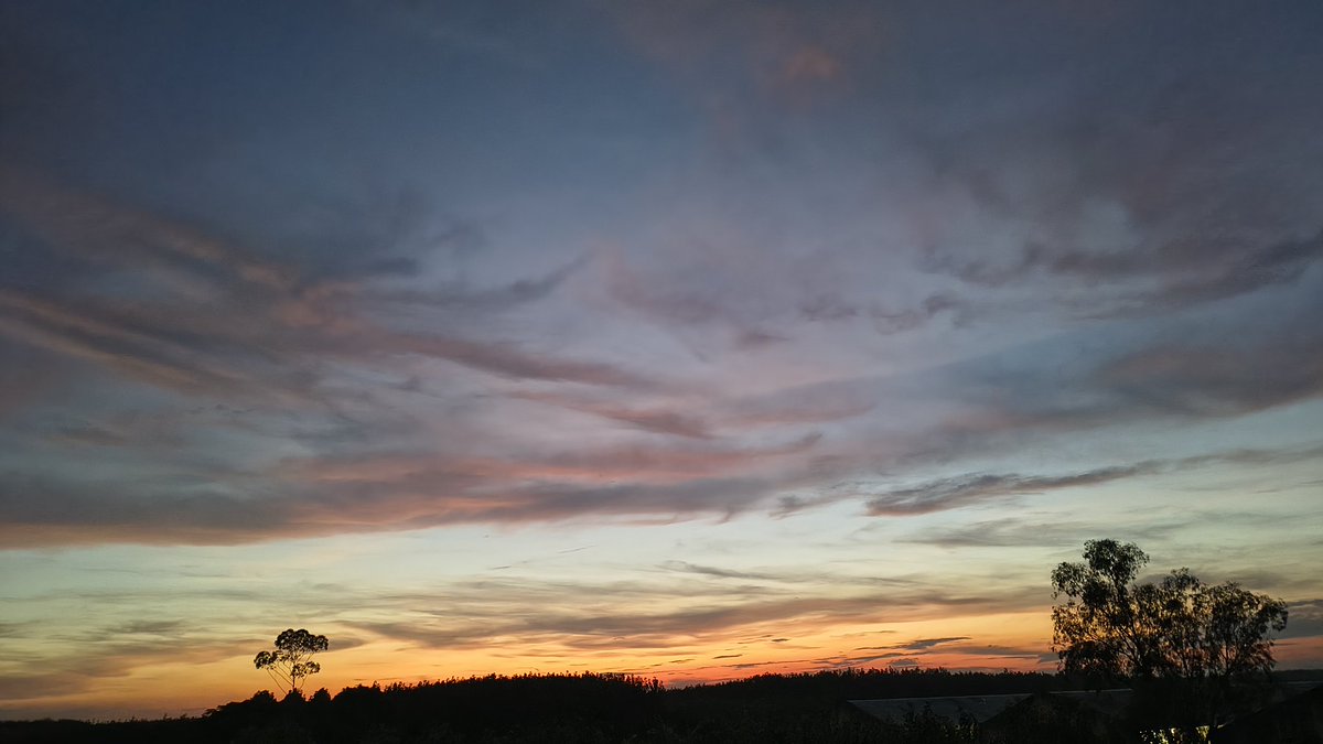 Lately it feels like life is on fast-forward eat, sleep, code, repeat. Weekends don’t feel like weekends, and 12 hours at the desk feels normal. I miss when things were slower, but maybe this is what growth really looks like uncomfortable, messy, but worth it.