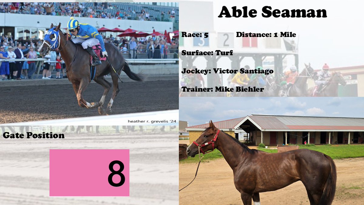 jbauer2581's tweet photo. Today is the last day of racing for @CanterburyPark's 2025 meet. While it's bittersweet to see the season end we're excited to watch 4 of our homebreds run today and it just means we're that much closer to 2026's meet!

We have 4 homebreds running today:
-Saint Charles starting things off in race 1
-Where's Marilyn runs in race 4 for owner, @didsracing , trained by, @BRiecken .
-Able Seaman goes in the 5th
-Kid's Inheritance races in the 6th for D and N Racing and trainer Troy Bethke

For anyone interested in watching the horses run and can't make it to the track, Canterbury streams races live on their YouTube page.

Today's races start at 4:10p CST

https://t.co/ufcmYiFh7f

Race 📷 by Heather Grevelis