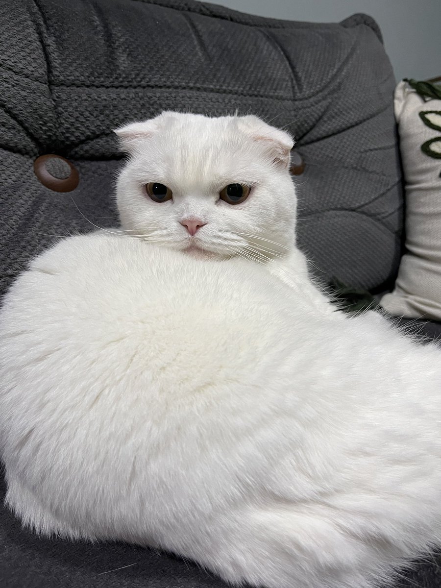 kim gödüme elledi bemim?