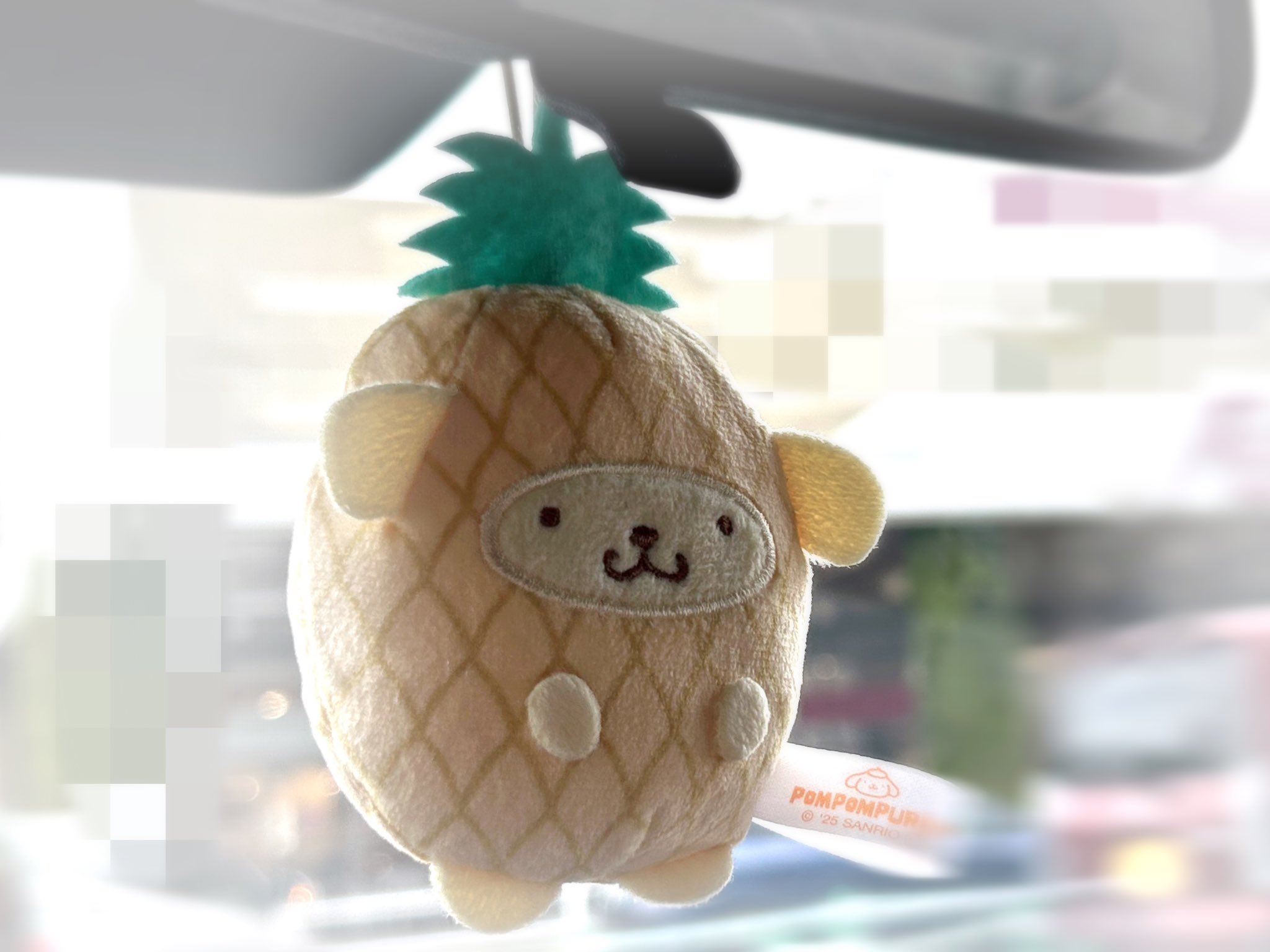 ぽんぽこ様 河西美希(みきぽん)プロデュースのミムコ【ゼリーグレー