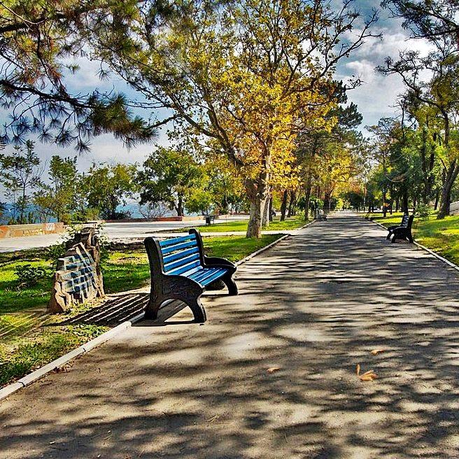 Катерина Галич tweet media