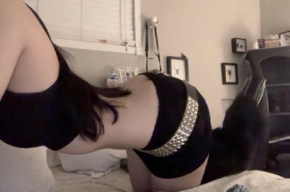 a k i r a e v i l (@akirevion) on Twitter photo 