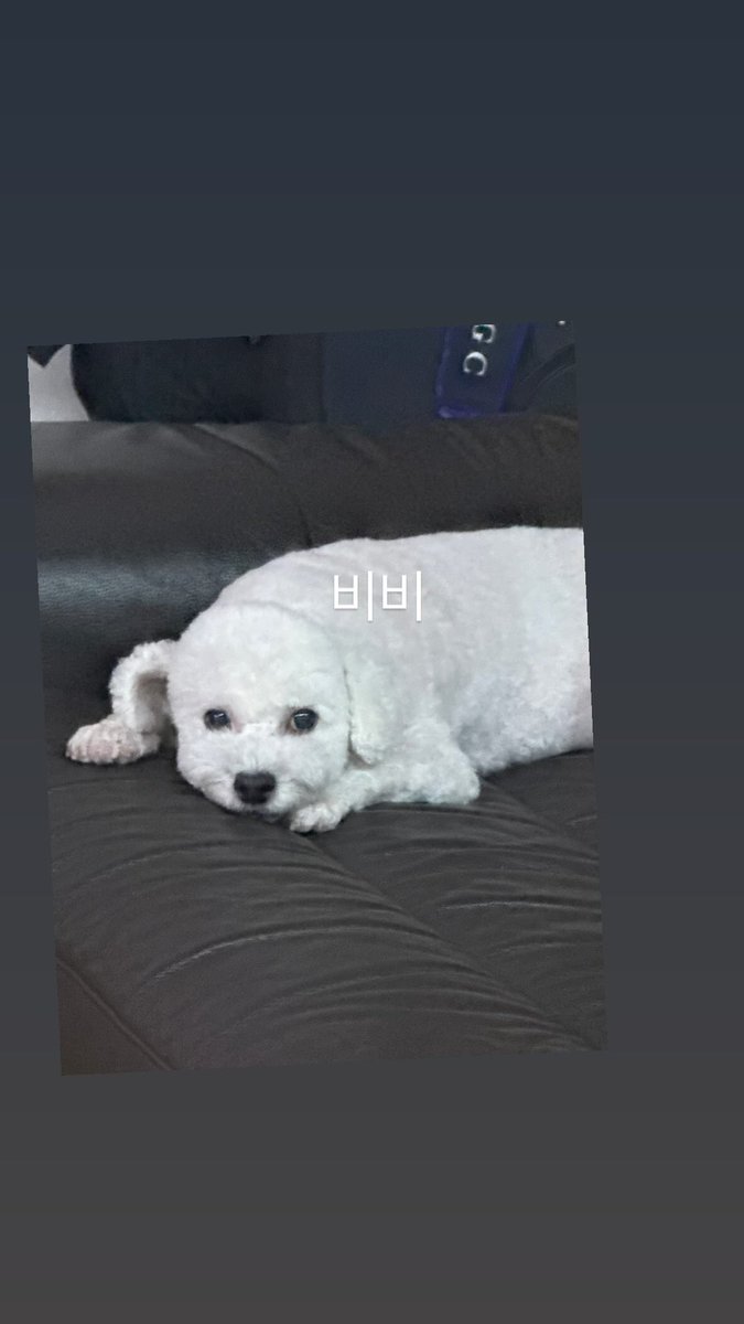 imy (•ᴗ•❀)🍼🧡 tweet media
