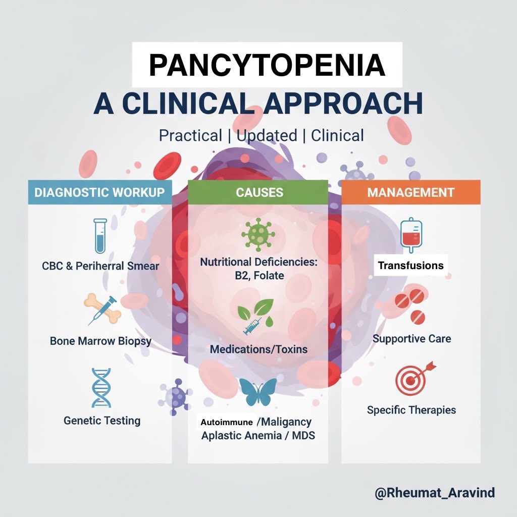 Aravind Palraj (@rheumat_aravind) on Twitter photo 🧵 Pancytopenia – A Clinical Approach
You see a patient’s CBC, and all 3 cell lines are down.
Hemoglobin ↓, WBC ↓, Platelets ↓.
That’s pancytopenia — and it always demands respect.
Here’s how to approach it 👇
<a href="/IhabFathiSulima/">Dr Ihab Suliman</a> <a href="/DrAkhilX/">Dr. Akhil 🇮🇳</a> <a href="/CelestinoGutirr/">Dr Celestino Gutiérrez González MD 🇪🇸🍏🇻🇪</a> #MedTwitter 🧵 Pancytopenia – A Clinical Approach
You see a patient’s CBC, and all 3 cell lines are down.
Hemoglobin ↓, WBC ↓, Platelets ↓.
That’s pancytopenia — and it always demands respect.
Here’s how to approach it 👇
<a href="/IhabFathiSulima/">Dr Ihab Suliman</a> <a href="/DrAkhilX/">Dr. Akhil 🇮🇳</a> <a href="/CelestinoGutirr/">Dr Celestino Gutiérrez González MD 🇪🇸🍏🇻🇪</a> #MedTwitter