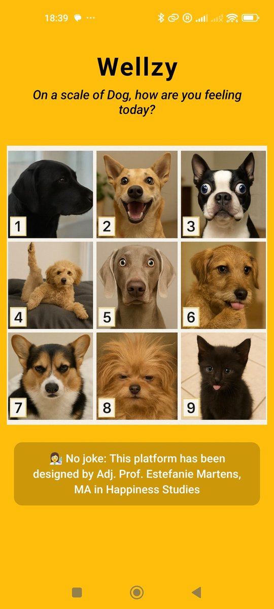 Brainstorming the welcome page #shipaton #buildinpublic