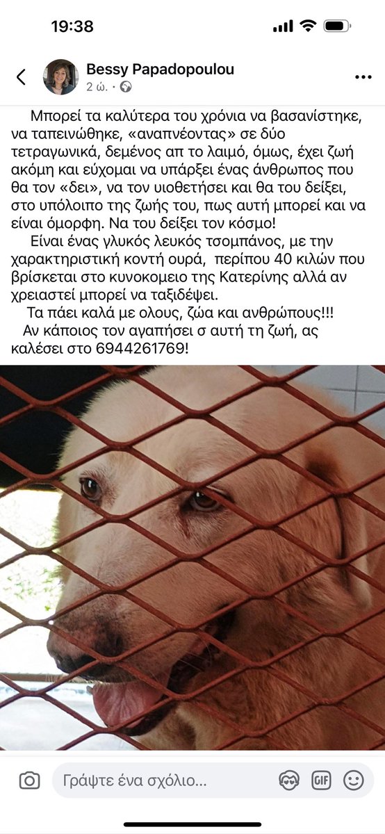 Rika Passa (@rikoulini) on Twitter photo 