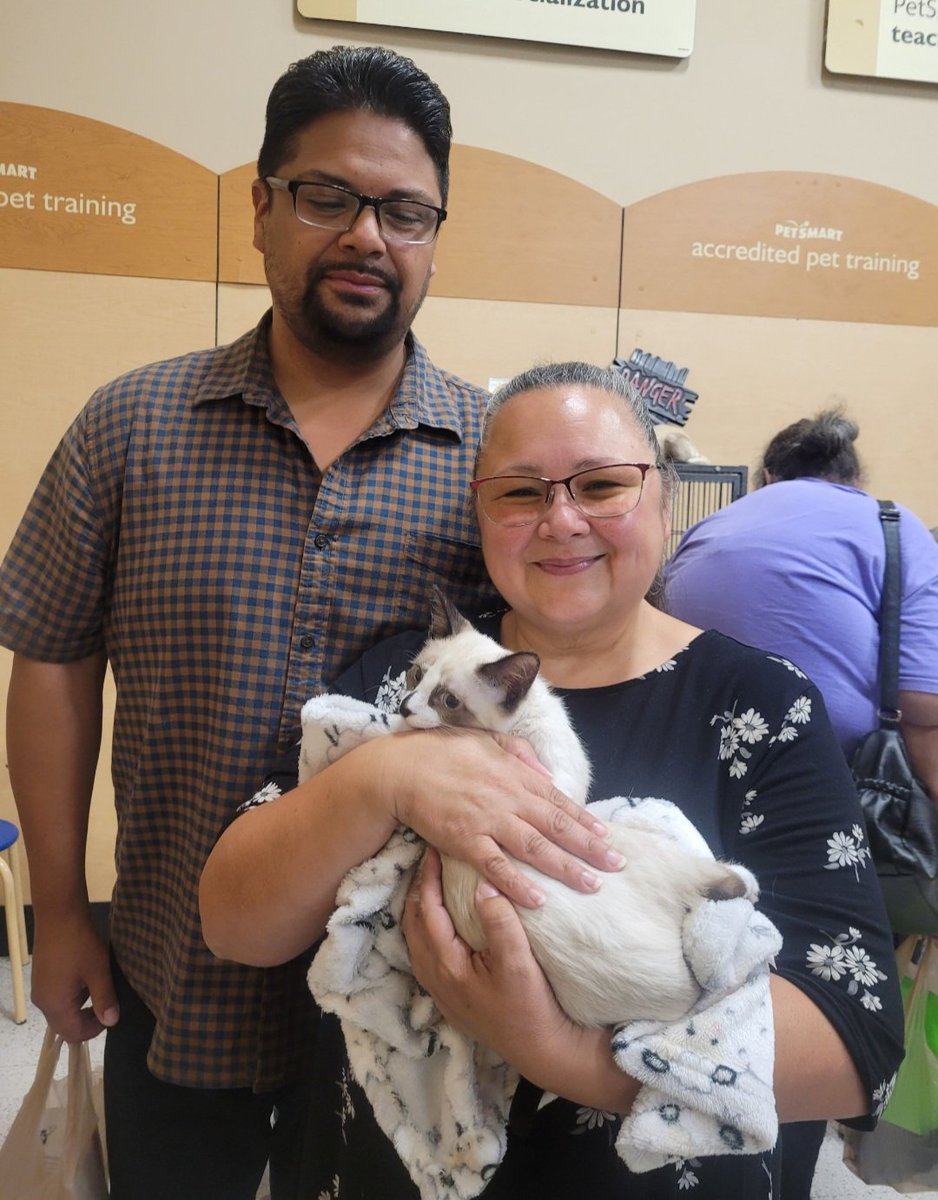TNRVictoria's tweet photo. Squirt has been adopted. https://t.co/KWg24EbRHG