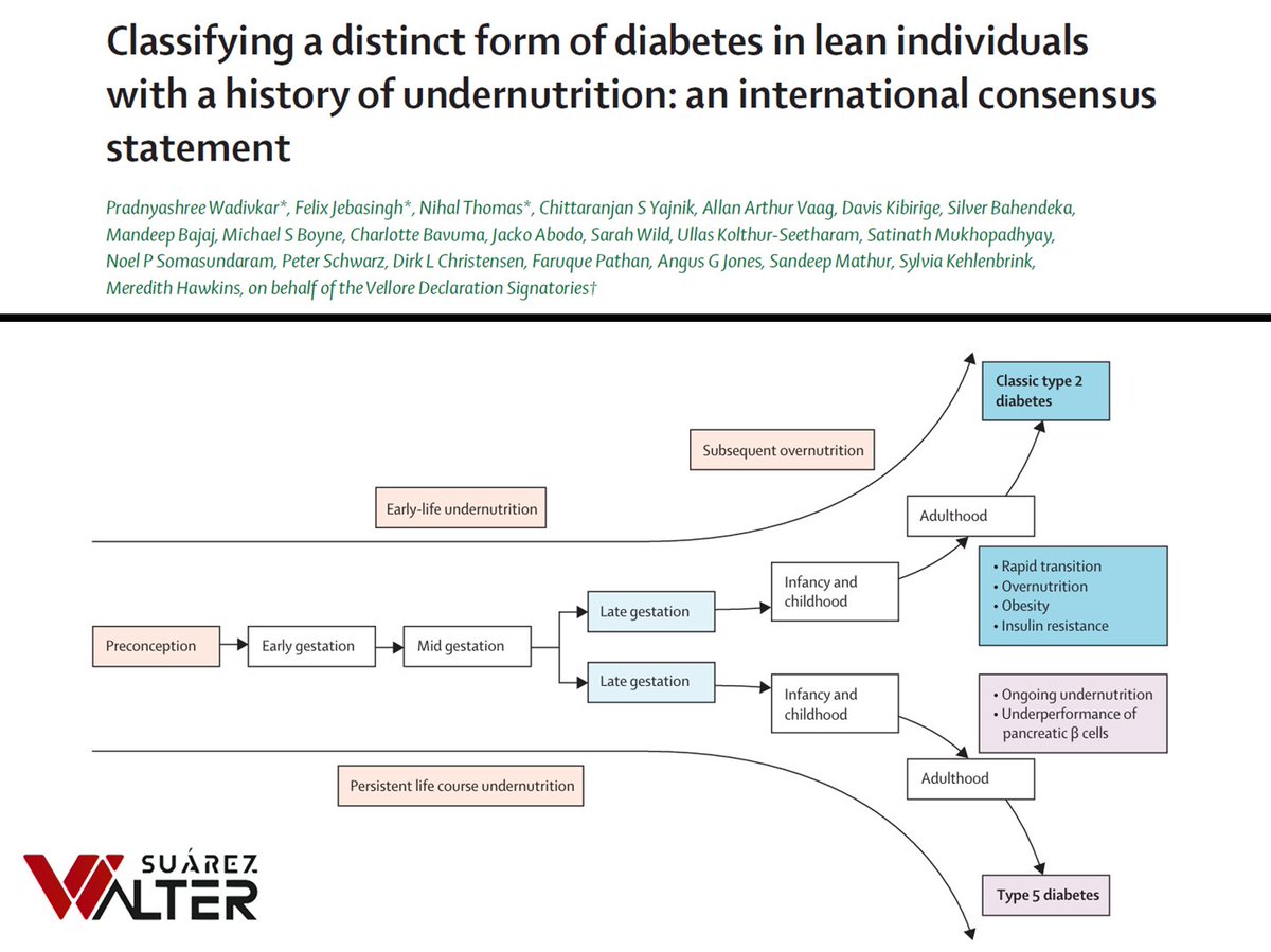 a_fisiolog57853's tweet image. CLASIFICACIÓN DE LA DIABETES TIPO 5

¡¡¡A leer, zagales!!!

Link en mi bio.