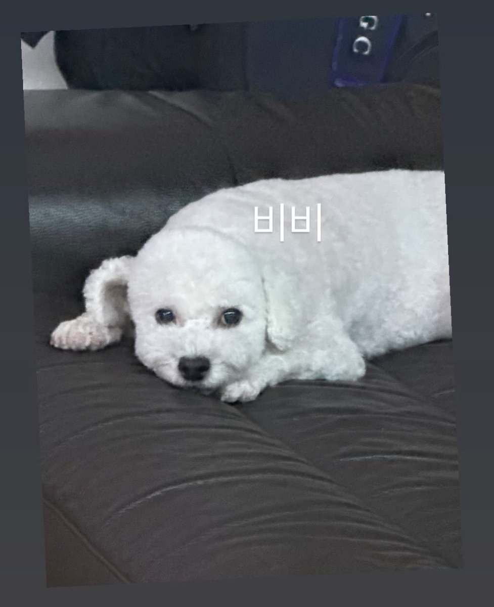 저리가세훈ㅡ3ㅡ tweet media