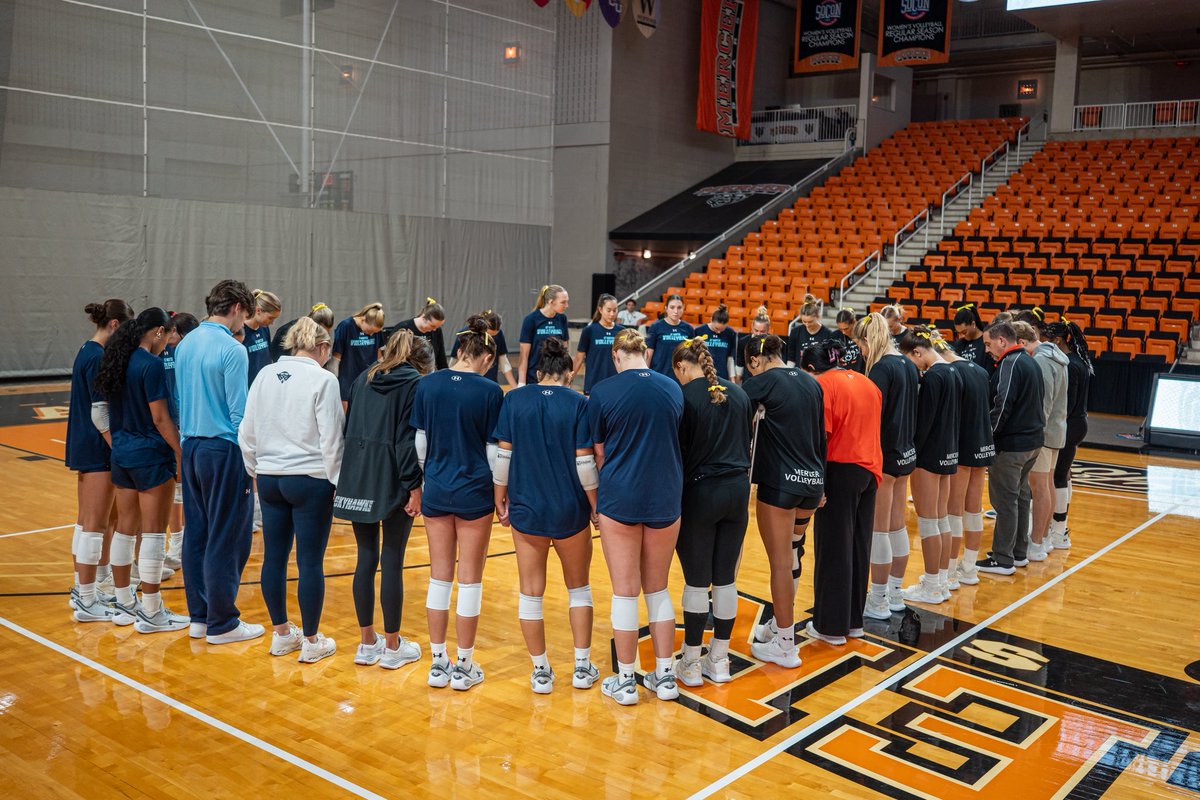MercerBearsVB tweet media