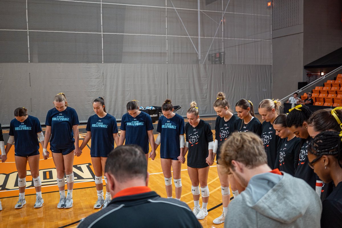 MercerBearsVB tweet media