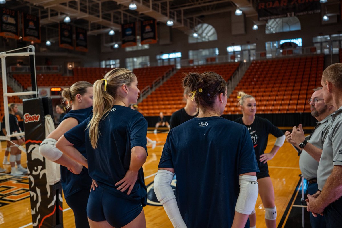 MercerBearsVB tweet media