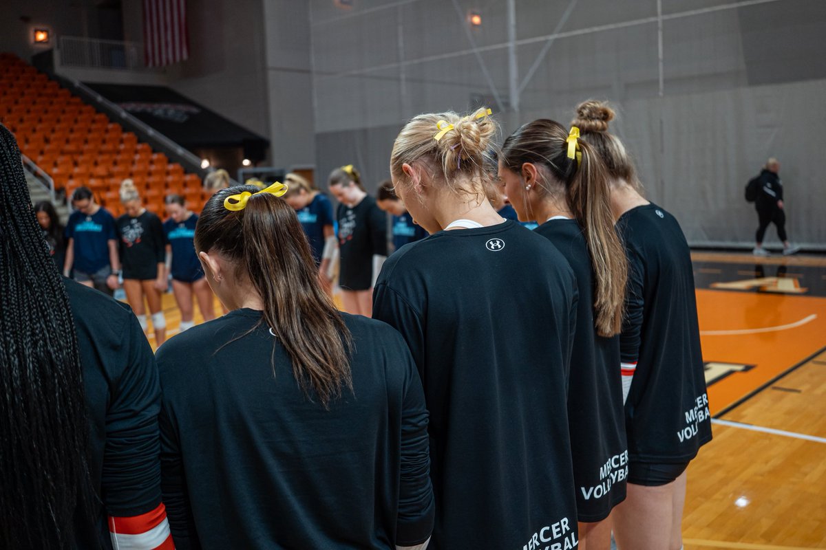 MercerBearsVB tweet media
