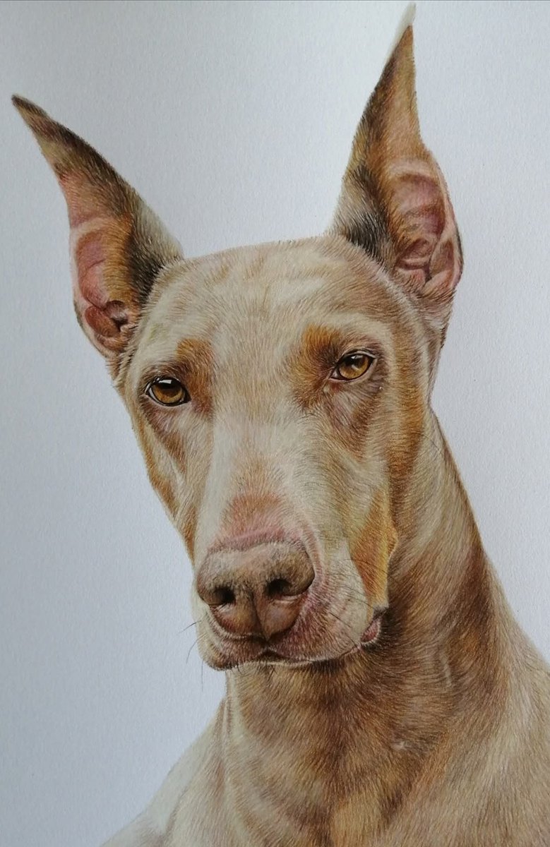 Sue Hewson Artist tweet media