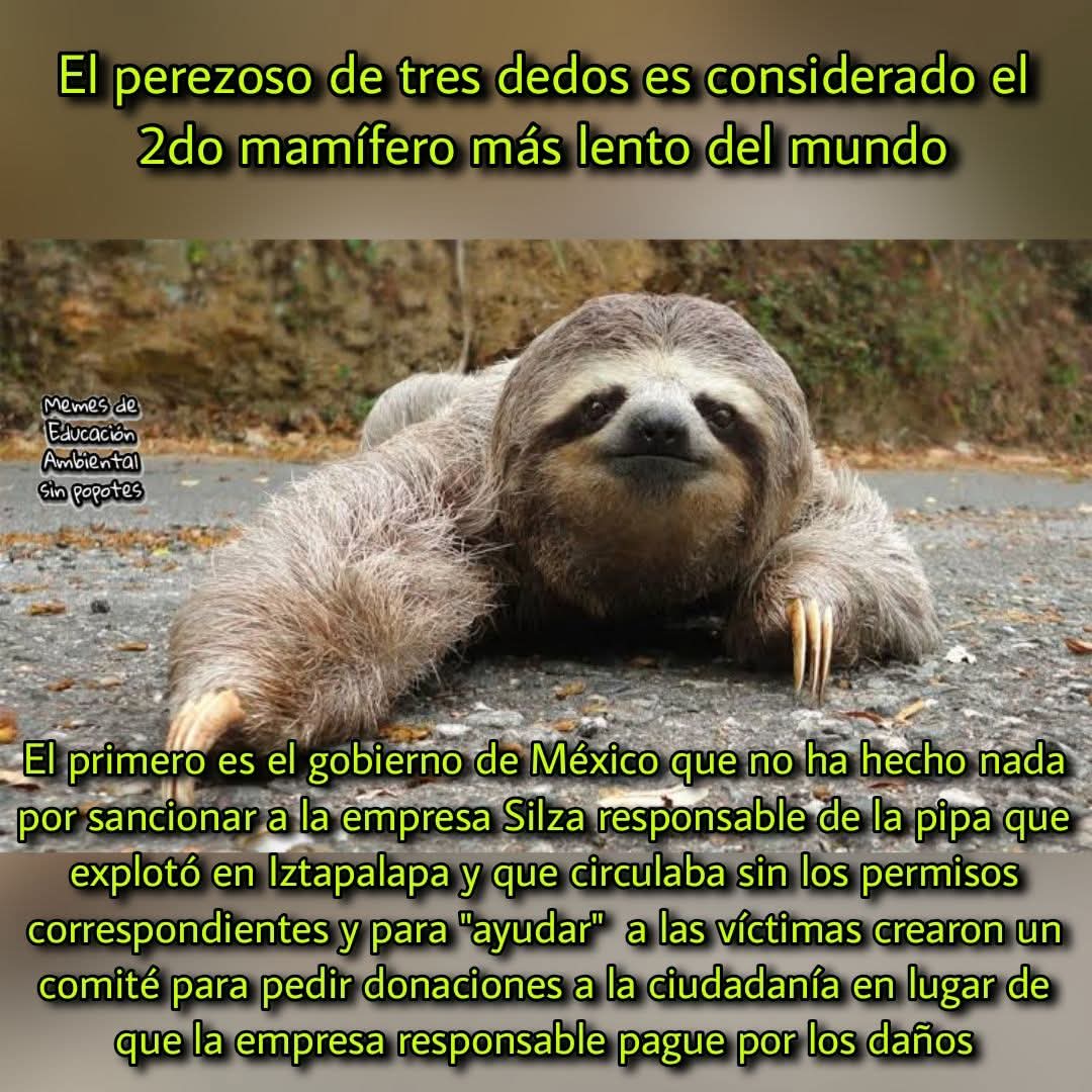 Que ganotas de hacerse bien pendejos verdad <a href="/ClaraBrugadaM/">Clara Brugada Molina</a> <a href="/GobCDMX/">Gobierno de la Ciudad de México</a>