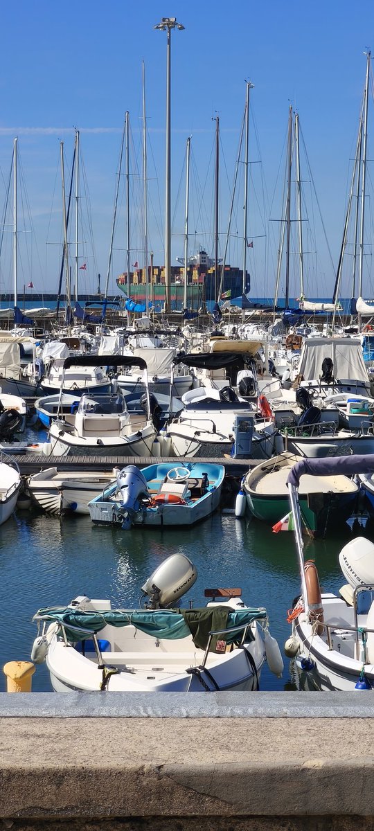 Alex (@xela_alex_9) on Twitter photo 