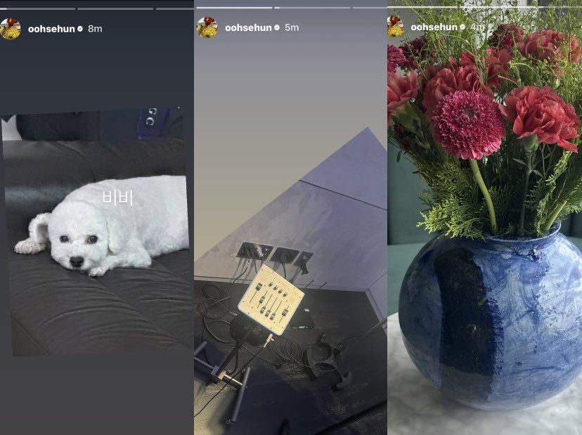 𝐬𝐞𝐡𝐮𝐧 𝐮𝐧𝐢𝐯𝐞𝐫𝐬𝐞 tweet media