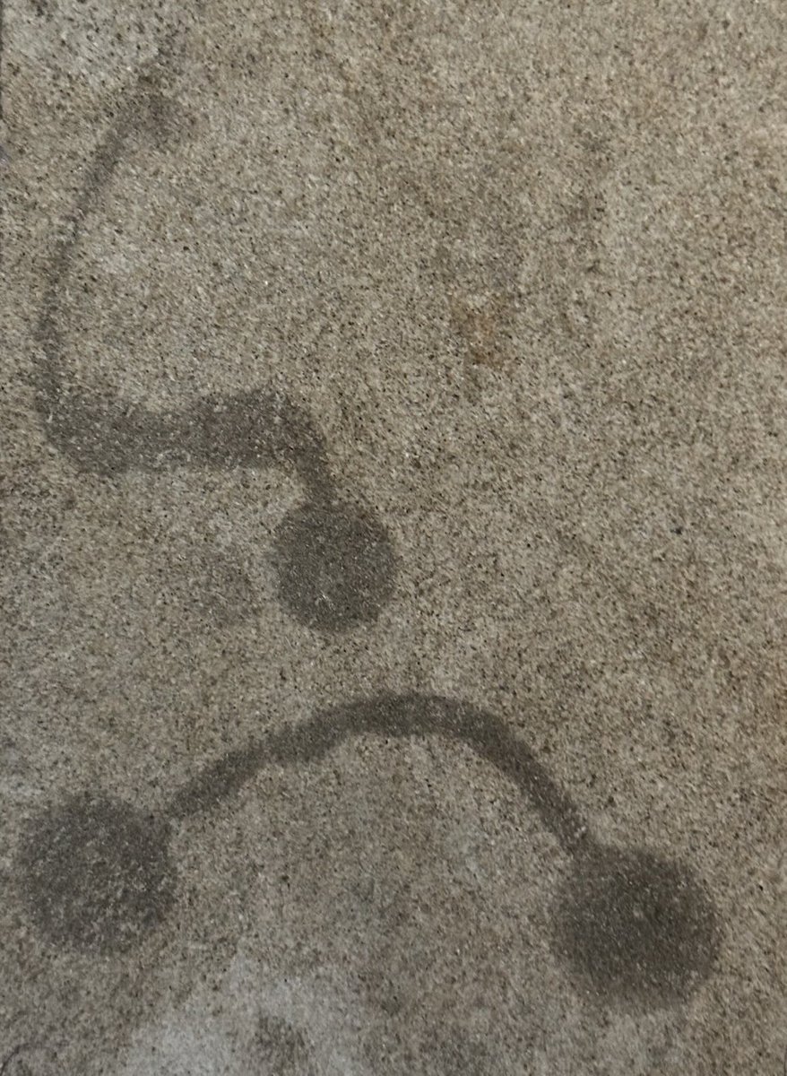 Does anyone know what this mysterious secret symbol means?