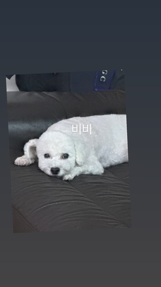 BUBBLETEAHOLIC's tweet photo. 250920 #SEHUN IG Story Update

“วีวี่”

😭😭😭🫶🏻✨ https://t.co/A9XWZhChhx