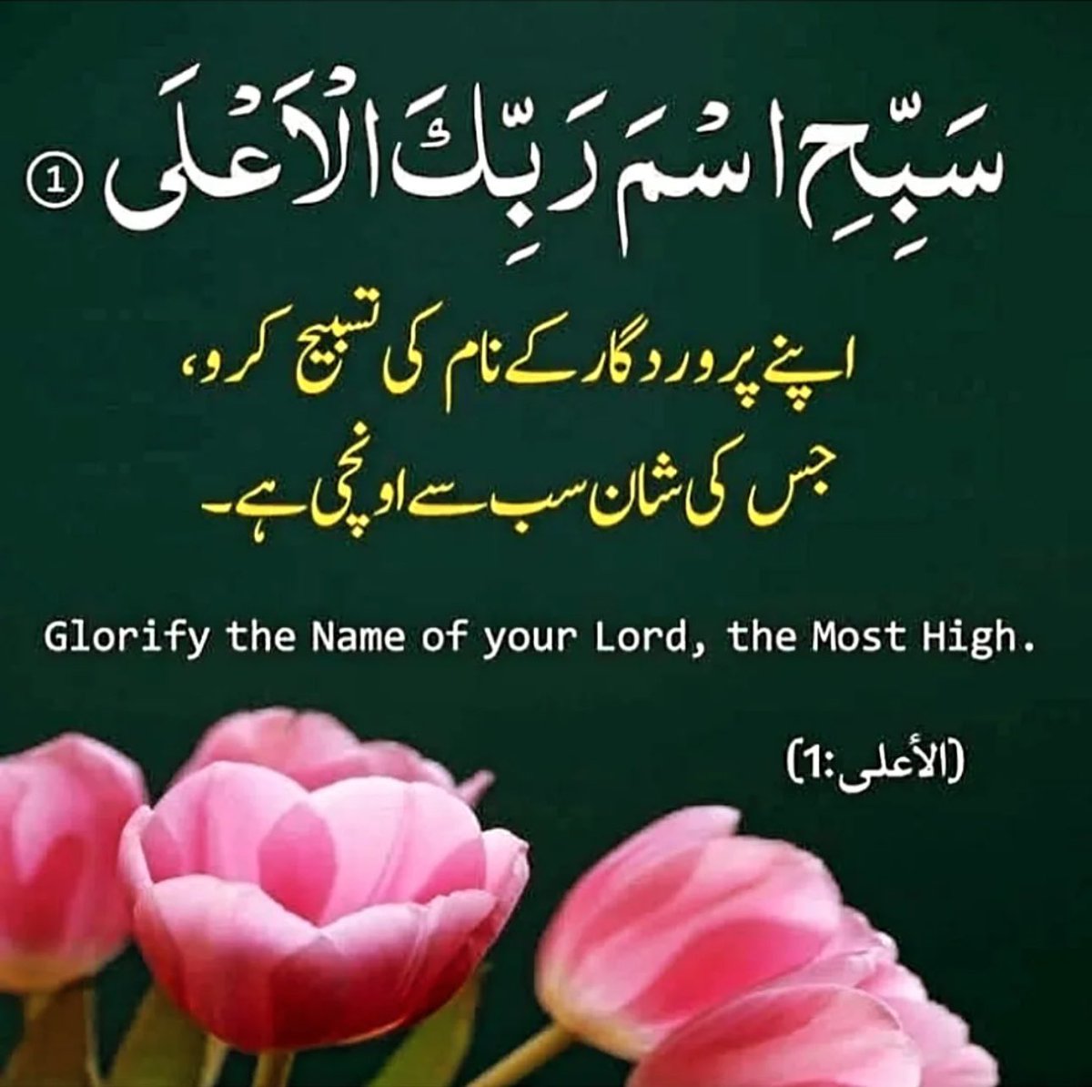 #PAK_PG
<a href="/0fozi_/">Fauzia</a> <a href="/frq04/">Muhammad Farooq Ahmad</a> <a href="/S111_9/">SHAHID MEHMOOD</a>
<a href="/Fk0_1/">Shahid (lover pti)</a> <a href="/786F_/">Shahid</a> <a href="/Spti_2/">RAJPOTE</a> <a href="/F7861_/">Rana Fahid</a>
<a href="/1Lvz0/">𝐿𝒶v𝑒𝑒𝓏𝒶_🍃</a> <a href="/3zia3/">Zia ud din GB</a> <a href="/P0_27/">PTI _ PROMO</a>
<a href="/Bla_Here/">🅰🅱🅳🆄🅻🅻🅰🅷𝓲𝓹𝓲𝓪𝓷</a>
<a href="/Smm01/">Rana</a>
<a href="/shZ447/">🌻🌻🌻𝕊𝕙𝕒𝕙𝕫𝕒𝕕 𝕄𝕦𝕟𝕚𝕣🌻🌻🌻</a>
<a href="/shz787/">🌟⭐️🌟🌟sʜᴀʜᴢᴀᴅ ᴍᴜɴɪʀ🌟⭐️🌟⭐️</a>
<a href="/imra0b/">Goat city Form</a>
@s4566
<a href="/58Yas_/">Muhammad Yaseen</a>
<a href="/imrnv/">CH Imran</a>
<a href="/1i2Ua/">🇦 🇭 🇲 🇪 🇩 🇷 🇮 🇦 🇿𝓲𝓹𝓲𝓪𝓷</a>
<a href="/1i3Ua/">🇦 🇭 🇲 🇪 🇩</a>
<a href="/TZB_5/">Chaudhary Tehzib</a>
<a href="/Triq25/">⤹𝙈𝙪𝙝𝙖𝙢𝙢𝙖𝙙 𝙏𝙖𝙧𝙞𝙦⤸</a>
<a href="/Frhn42/">★𝙁𝙧𝙝𝙖𝙣 𝘼𝙝𝙢𝙚𝙙★</a>
<a href="/Khld36/">✍𝙆𝙝𝙖𝙡𝙞𝙙 𝙃𝙪𝙨𝙖𝙞𝙣✍⳼</a>
<a href="/ARNH_1/">عبدالرحمن</a>
<a href="/_ah064/">Ahmad</a>
<a href="/Jann064/">Ahmad Jan</a>
<a href="/6Jan11/">jan</a> @FK71_ <a href="/Trq88/">✍︎⸙𝐓αɾιϙ 𝐌υɾƚαȥα࿈</a>
<a href="/frq06/">Farooq</a> <a href="/frq05/">Farooq Ahmad</a> <a href="/frq_5/">m farooq</a>
<a href="/0MRK_/">Mahrukh Khan</a> <a href="/7Ambr/">Amber Baig</a> <a href="/0fozi/">Fauzia Hamid</a>