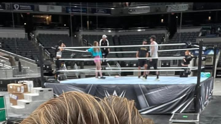 Mo_Hesham98's tweet image. Seth Rollins, CM Punk, AJ Lee and Becky Lynch all together before the big night 🤍✨️

#Wrestlepalooza    
#WWE