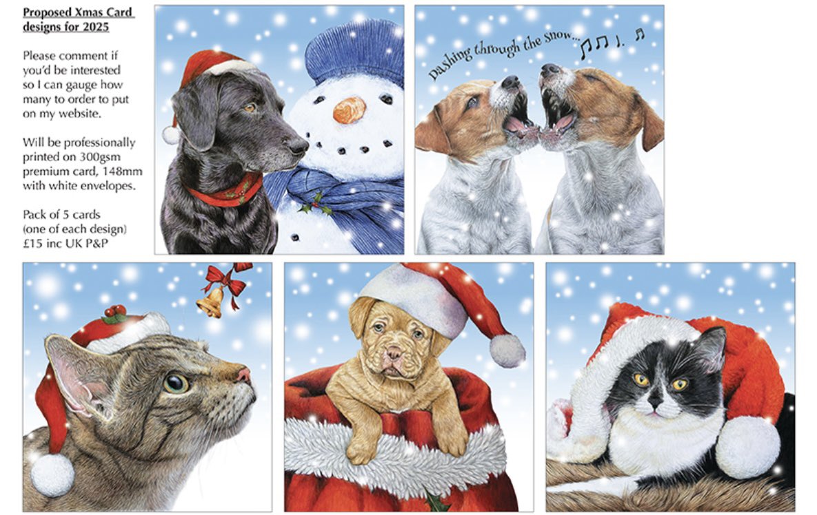 Lisa Wellwood Artist tweet media