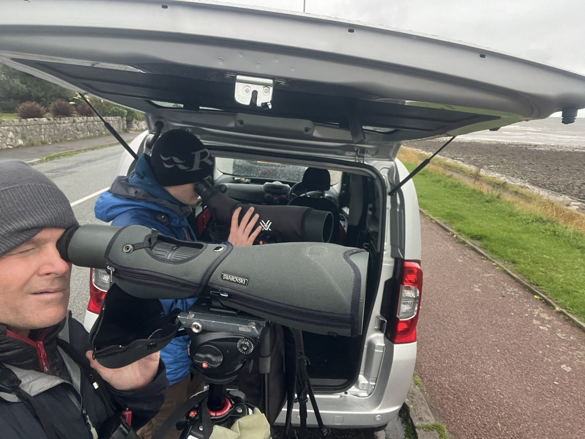 An impromptu seawatch in the new Spaull hide with <a href="/ZSpaull/">Zak Spaull</a> +Tom. As the wind swung northerly, between us we managed 2 Sabine’s Gulls (ad + Juv), 2 Black Tern, Arctic Skua, 93 Common Tern, 6 Arctic Tern, 27 ‘Commics’, 425 Sandwich Tern, 2 Manx Shearwater, 7 Kittiwake, + 4 RTD☺️👍