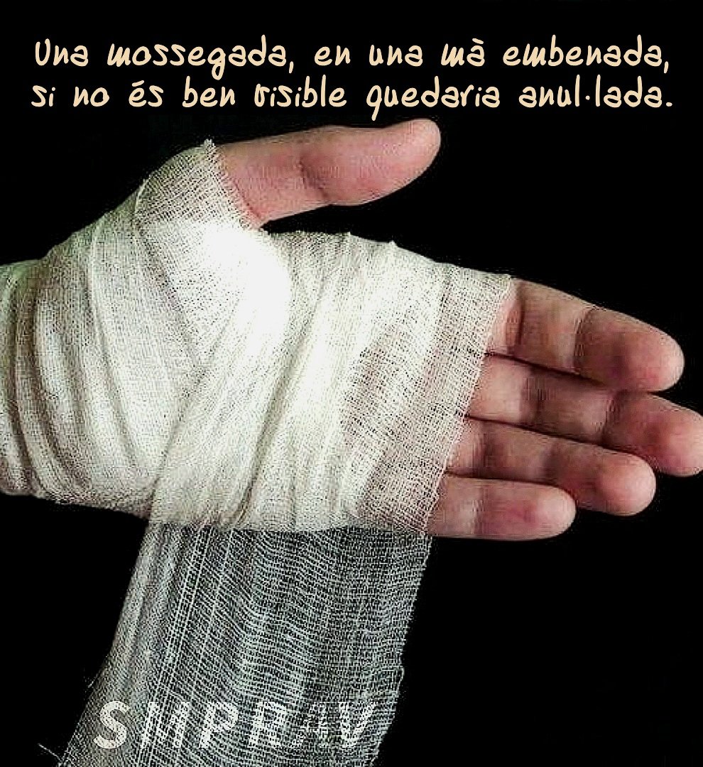 Julià Assaig tweet media