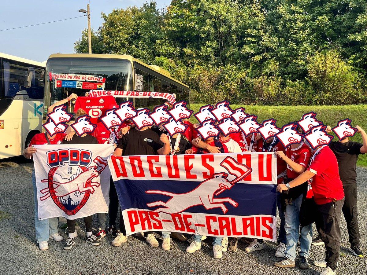Dogues du Pas-de-Calais 🔴⚪ tweet media