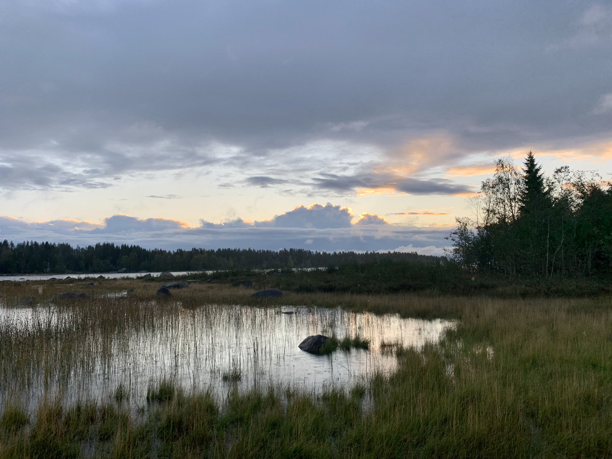 Blogbirder's tweet image. blogbirder.blogspot.com/?m=1 51 bird species recorded on the island today, an excellent start to the trip. Rook added to the island list, a local rarity.