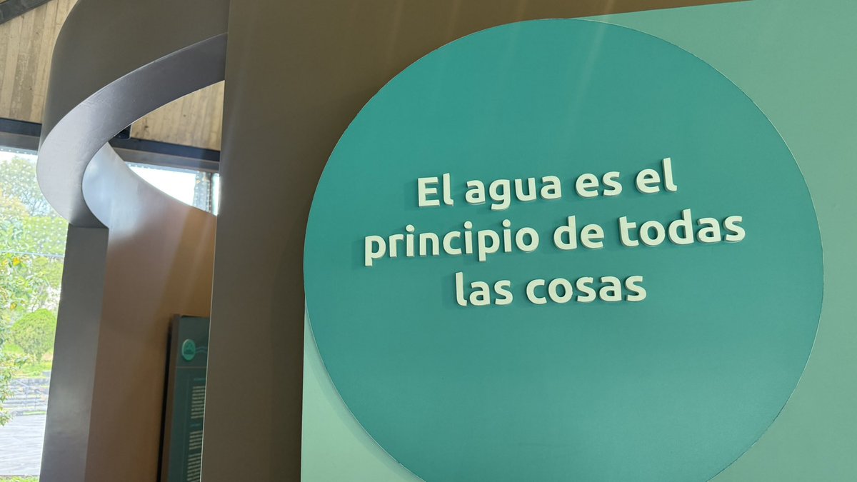 Qué lugar tan bonito en la 2da Sección de Chapultepec.

🌳