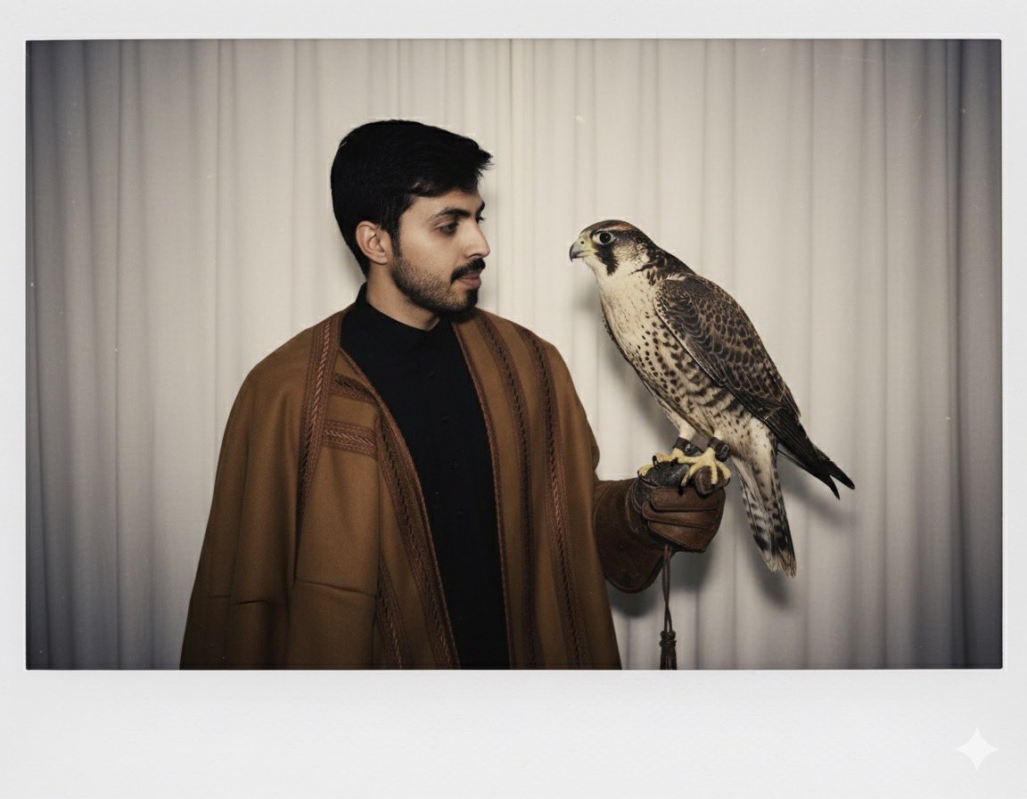 صقر شايل صقر