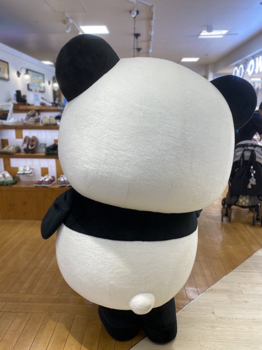 本日、上野マルイ鑑定所

開運館
Address
東京都台東区上野6-15-1
上野マルイ３階
Access
JR 宇都宮線・東北本線・上野東京ライン・山手線・京浜東北線「上野駅」より徒歩1分/東京メトロ 銀座線・日比谷線「上野駅」より徒歩1分
Tel
03-3834-1455
Open - Close
11：00～20：00
高山玉麗
#出会い運