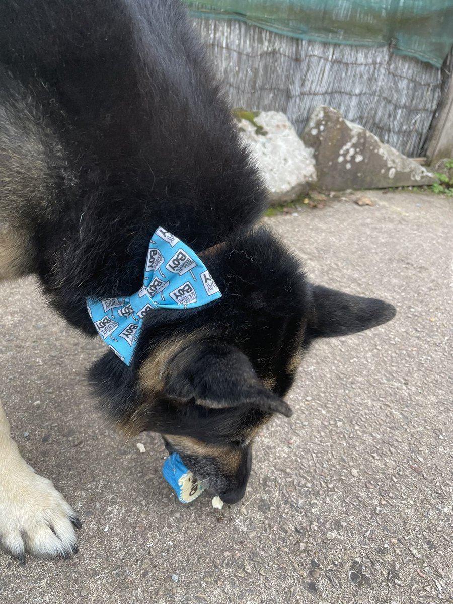 I’ve been spoiled by mum &amp; dad for my 11th birthday today loads of treats ❤️