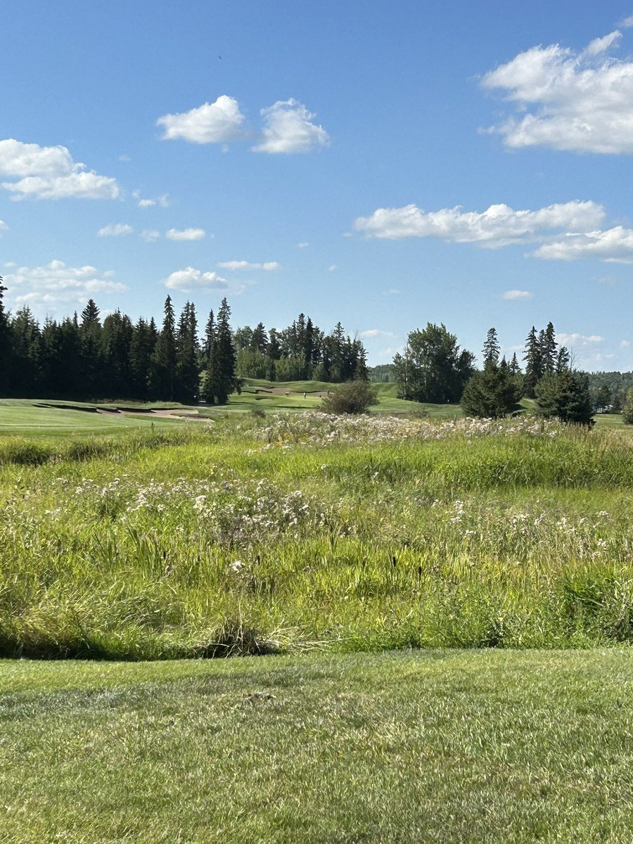 Coming out to <a href="/trestlecreekgr/">Trestle Creek Golf Resort</a> for the last couple of rounds? If so, please bring some non-perishable food items for the WEE Community food bank and receive a 2 for 1 green fee coupon that can be used when visiting in 2026!