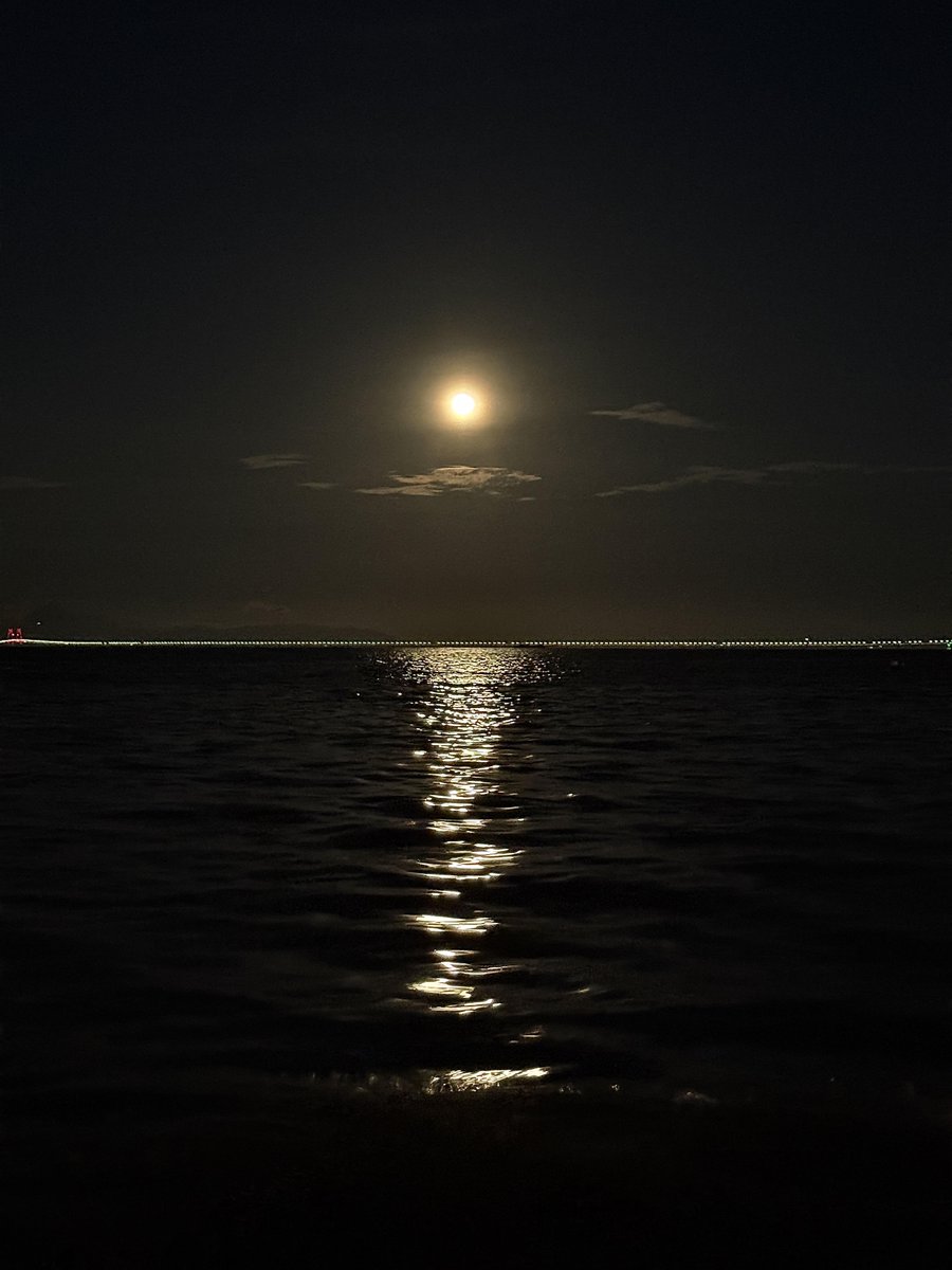 夜の海は黒いです🖤