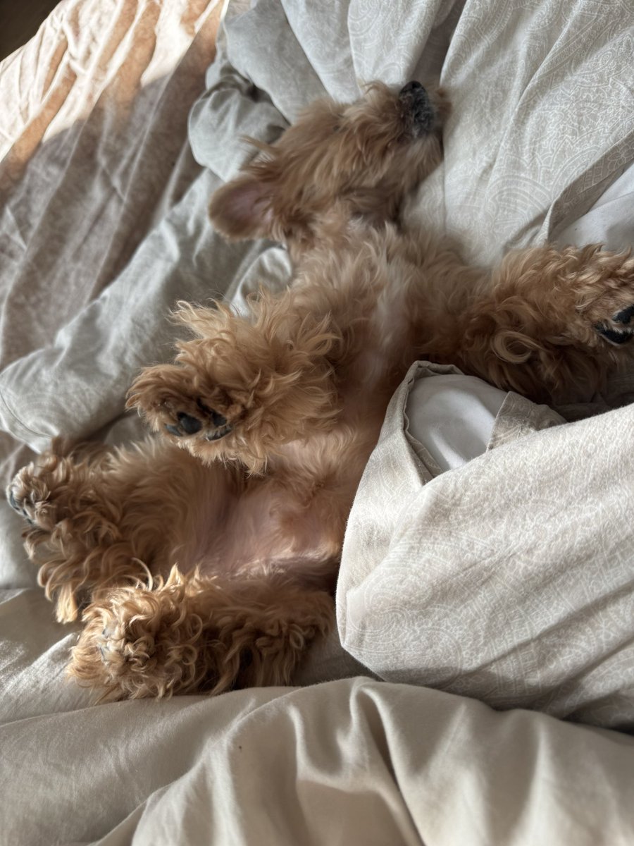 эстетика вашей жизни при условии что фотографиям не больше месяца