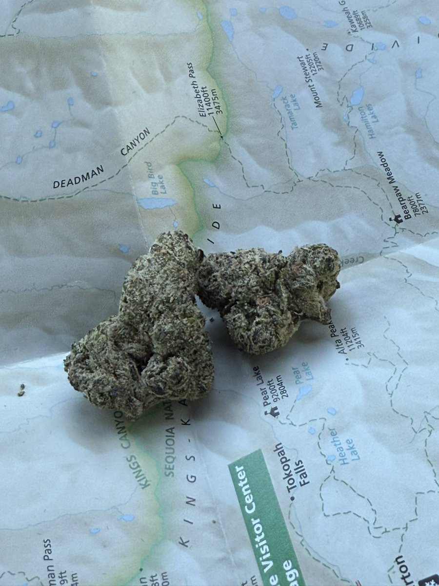 berner415's tweet image. The original rolling tray !