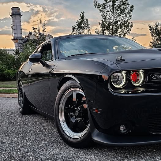 Eyes up 😈 

GET SPONSORED BY EVL BEE Designs! Apply today at carsponsors.com/application/