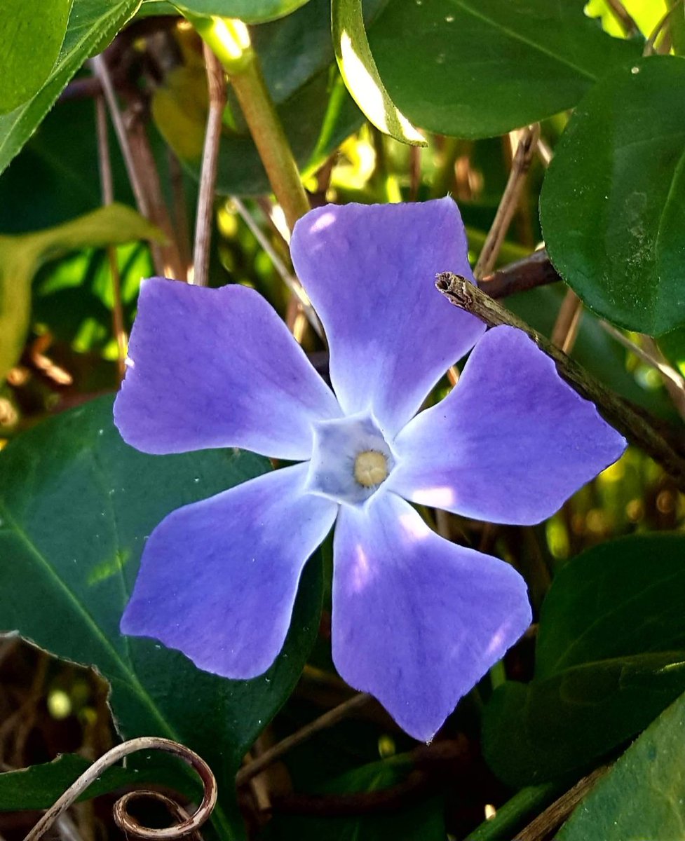 Maria Lea tweet media