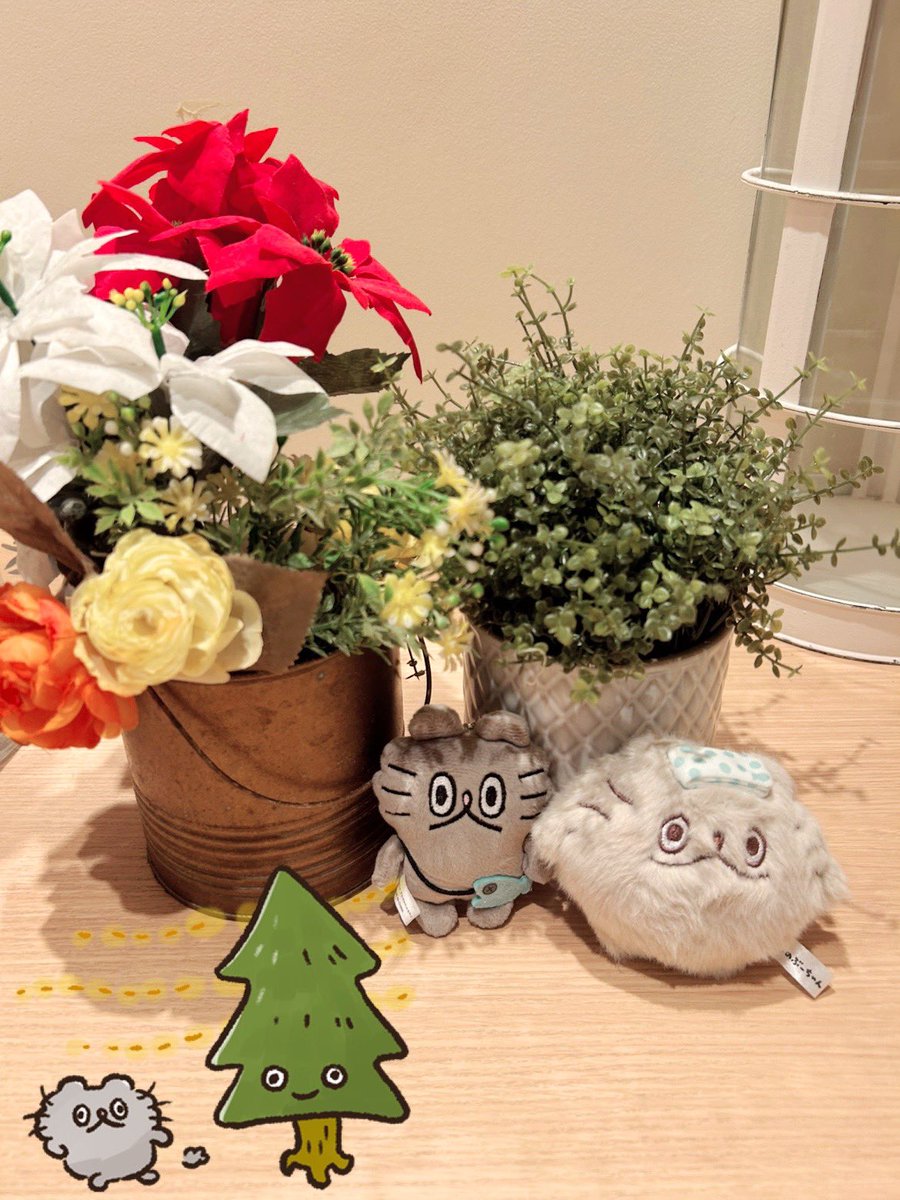 高橋きの 🐟ねこのぶーちゃん♨️ぶ〜の湯ありがとうご